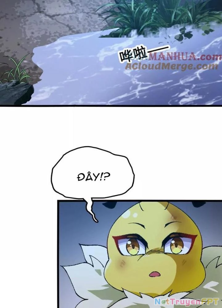 Tiến Hóa Đi, Caterpie Chapter 61 - 27