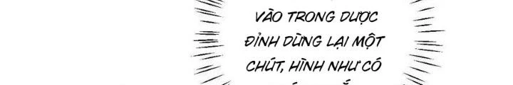 Mang Theo Các Tiên Tử Vô Địch Thiên Hạ Chapter 54 - 64