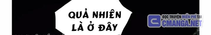 Tơ Nhện Chapter 20 - 42