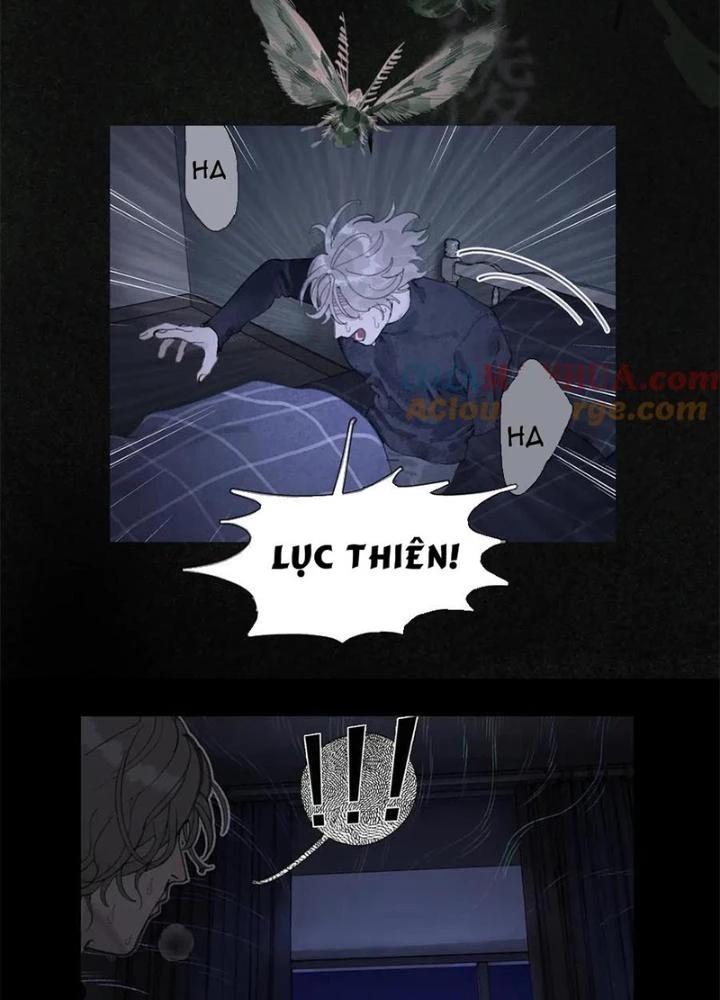 Tơ Nhện Chapter 21 - 13