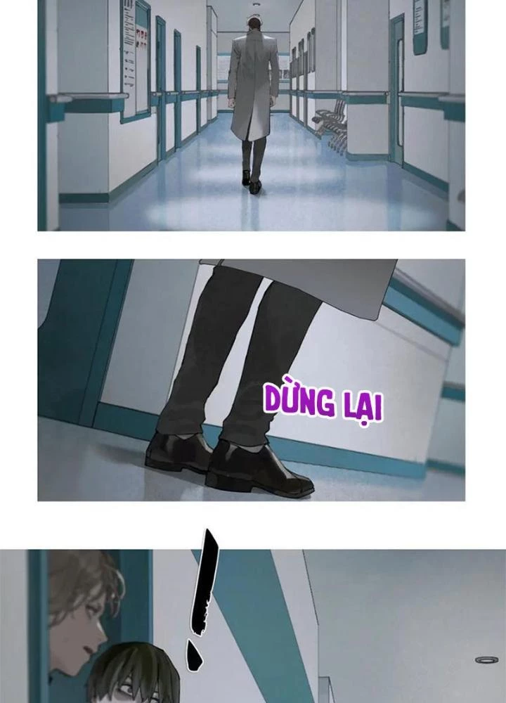 Tơ Nhện Chapter 24 - 25