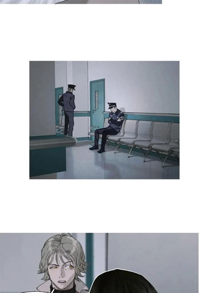 Tơ Nhện Chapter 24 - 33