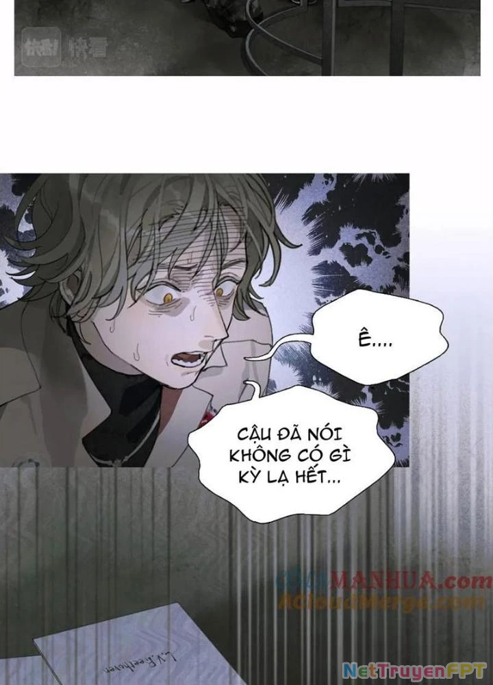 Tơ Nhện Chapter 28 - 31