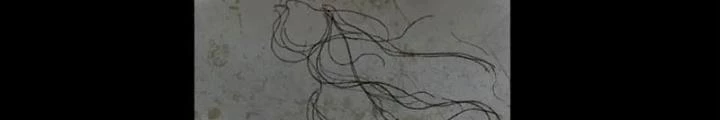 Tơ Nhện Chapter 33 - 50