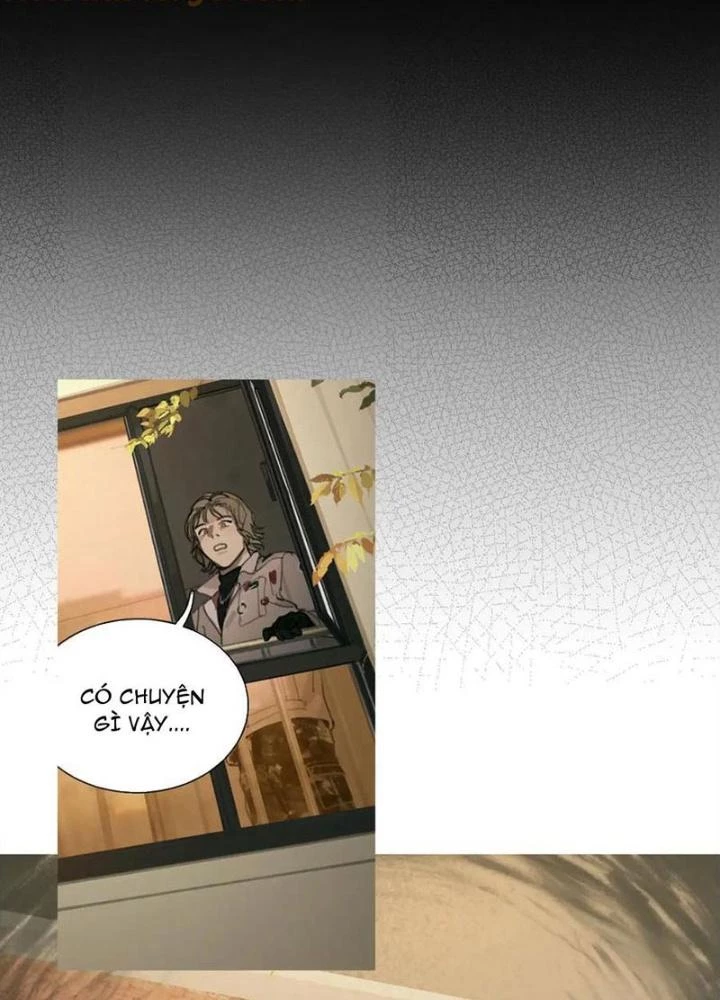 Tơ Nhện Chapter 38 - 13