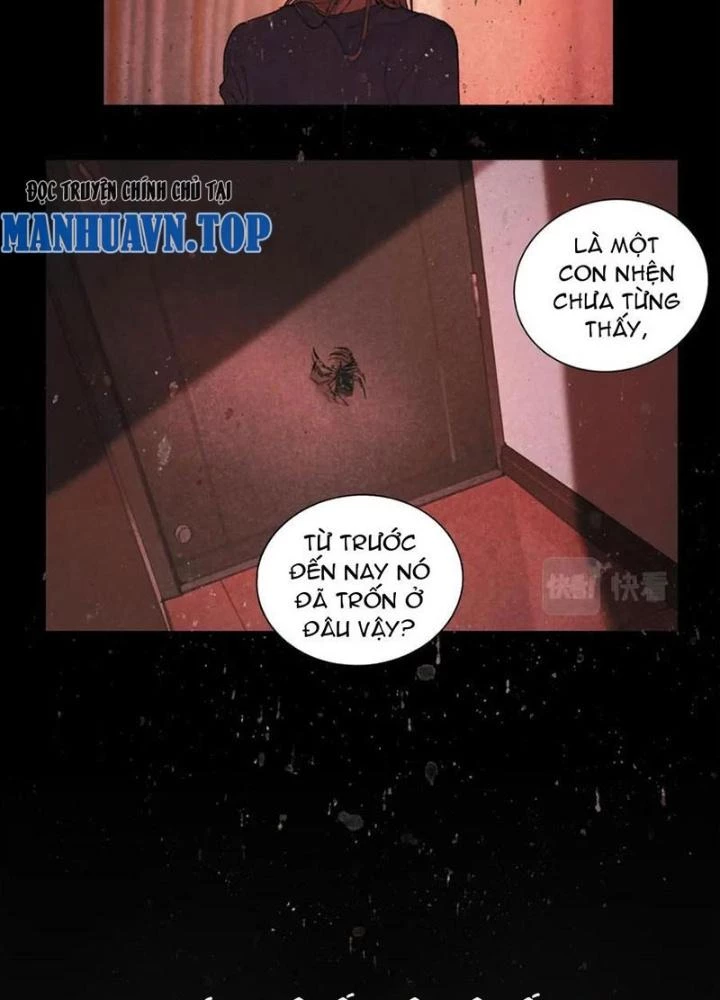 Tơ Nhện Chapter 41 - 5