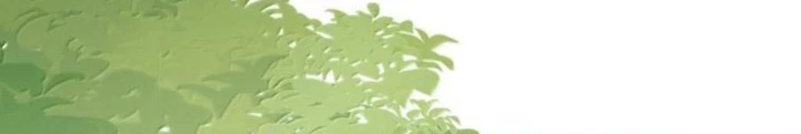 Trường Sinh Bất Lão, Ta Cưới Tà Thần Về Làm Vợ Chapter 69 - 32