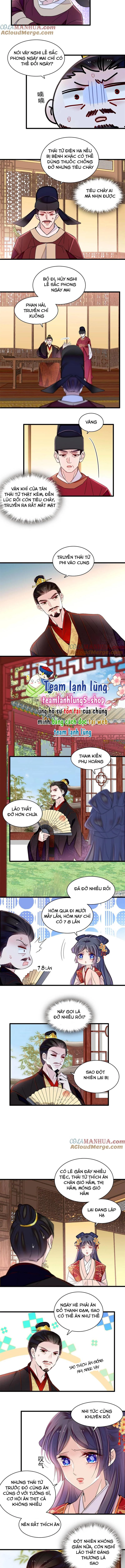 Tự Cẩm Chapter 356 - 5