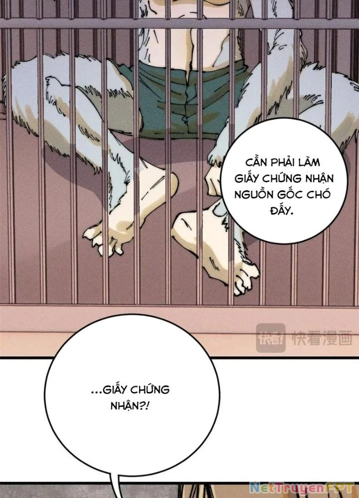 Người Chơi Hung Mãnh Chapter 108 - 35
