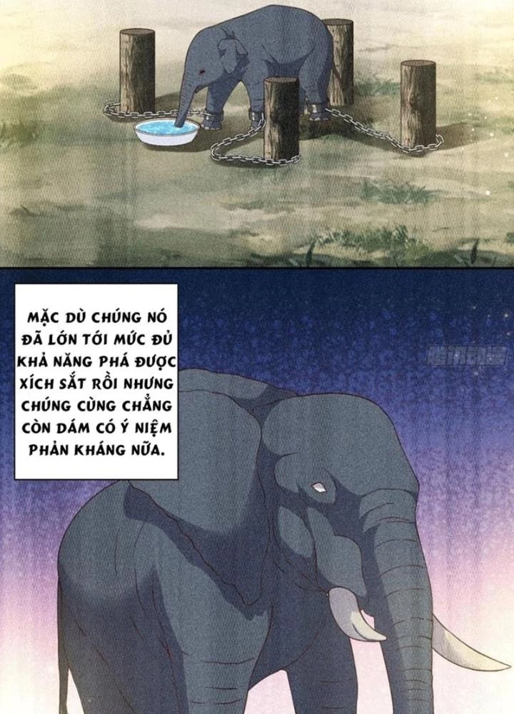 Xin Lỗi, Có Hệ Thống Thật Sự Quá Lợi Hại Chapter 3 - 75
