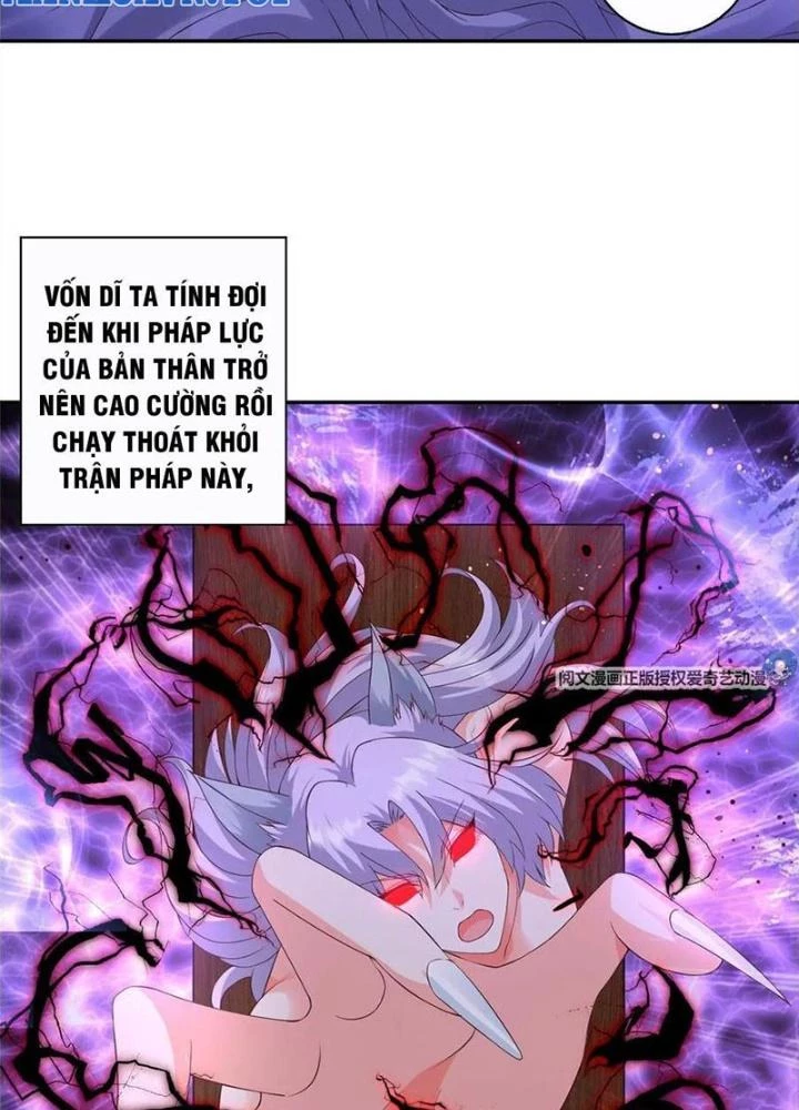 Xin Lỗi, Có Hệ Thống Thật Sự Quá Lợi Hại Chapter 5 - 15