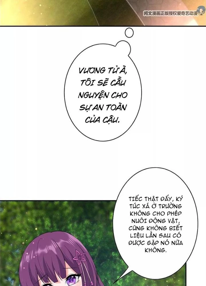Xin Lỗi, Có Hệ Thống Thật Sự Quá Lợi Hại Chapter 8 - 3