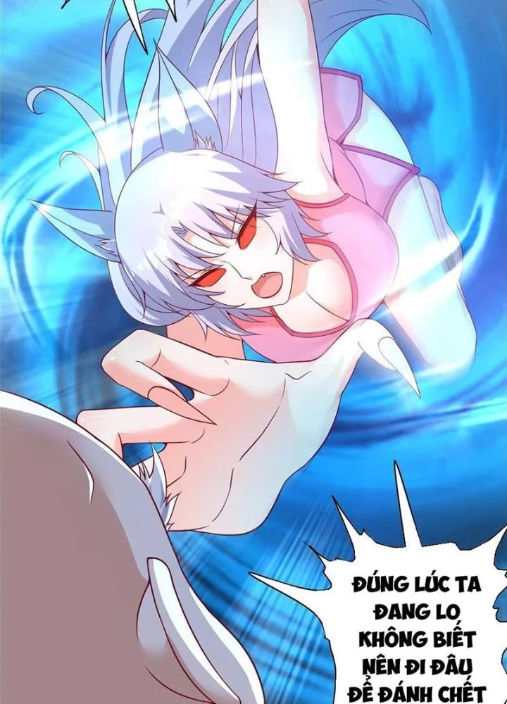 Xin Lỗi, Có Hệ Thống Thật Sự Quá Lợi Hại Chapter 11 - 3