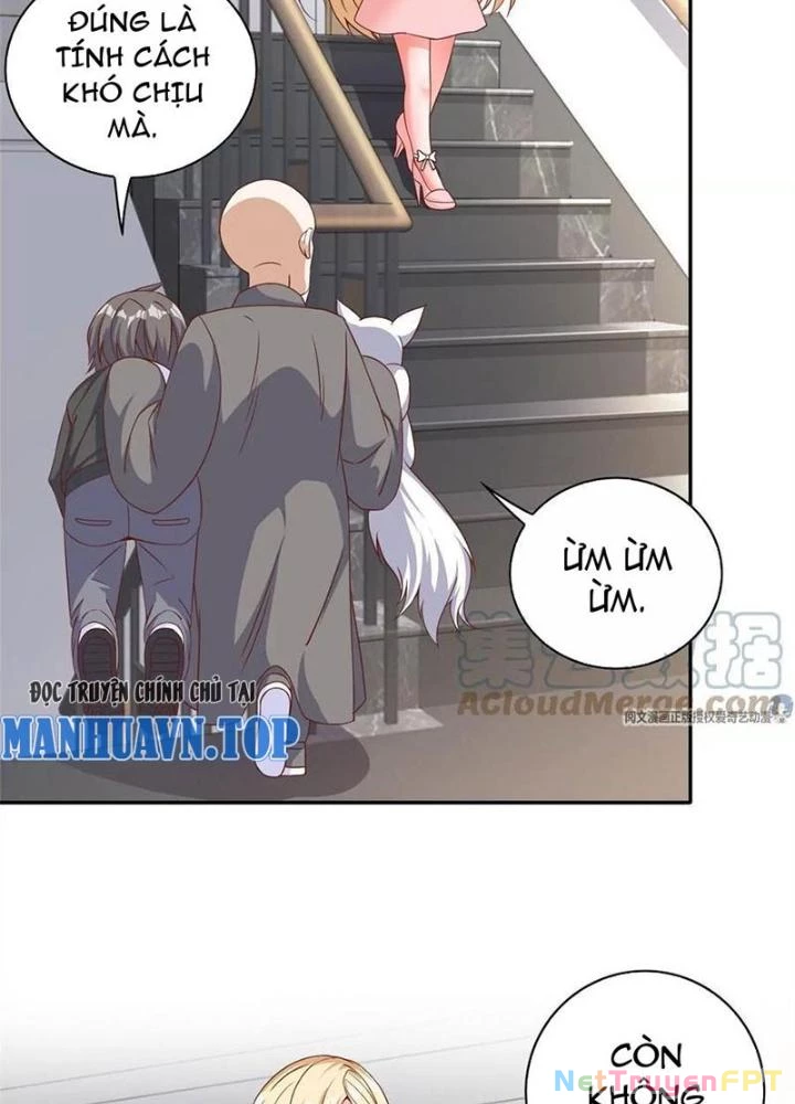 Xin Lỗi, Có Hệ Thống Thật Sự Quá Lợi Hại Chapter 11 - 63