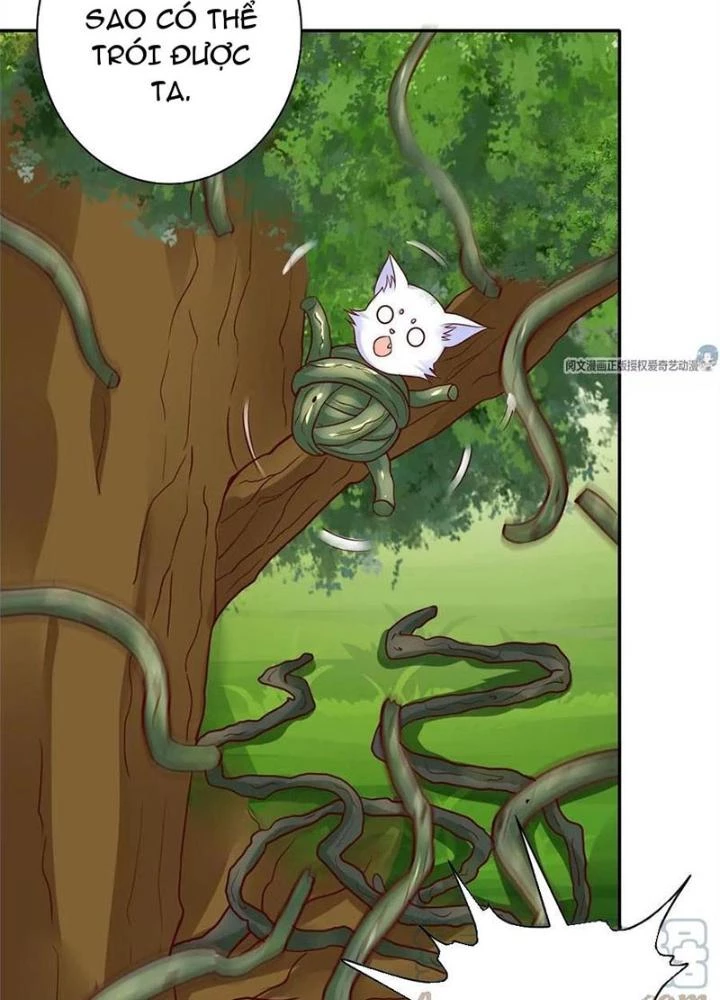 Xin Lỗi, Có Hệ Thống Thật Sự Quá Lợi Hại Chapter 14 - 13