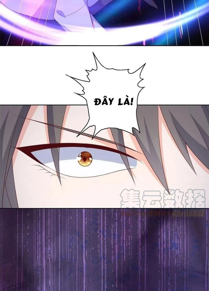 Xin Lỗi, Có Hệ Thống Thật Sự Quá Lợi Hại Chapter 21 - 67