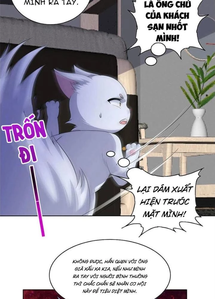 Xin Lỗi, Có Hệ Thống Thật Sự Quá Lợi Hại Chapter 23 - 51