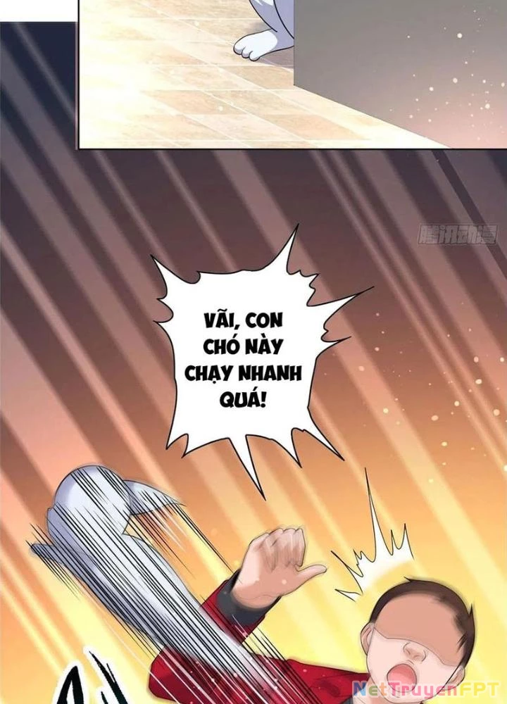 Xin Lỗi, Có Hệ Thống Thật Sự Quá Lợi Hại Chapter 23 - 67