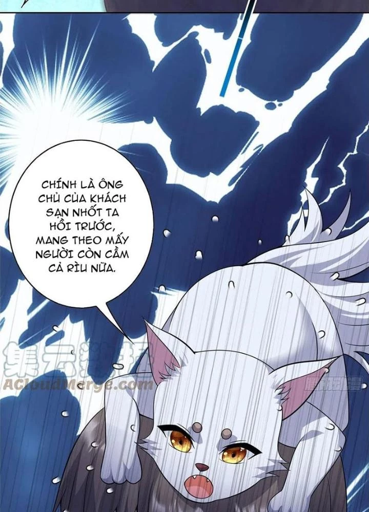 Xin Lỗi, Có Hệ Thống Thật Sự Quá Lợi Hại Chapter 23 - 81