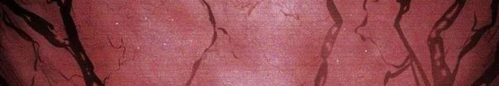 Quản Lý Seo Đây Chỉ Là Tai Nạn Nghề Nghiệp Thôi Phải Không? Chapter 24 - 61