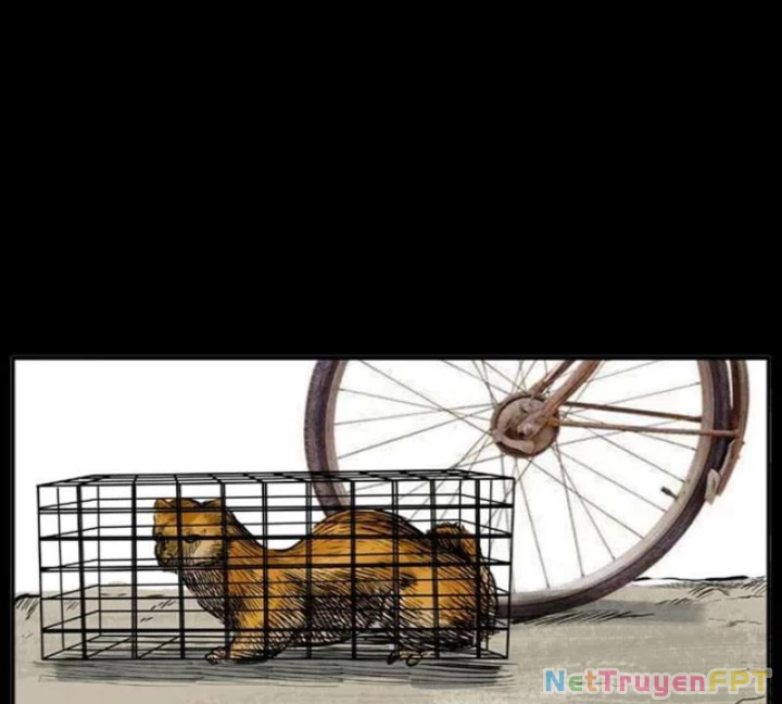 Tam Lão Gia Kinh Kỳ Thủ Trát Chapter 22 - 24