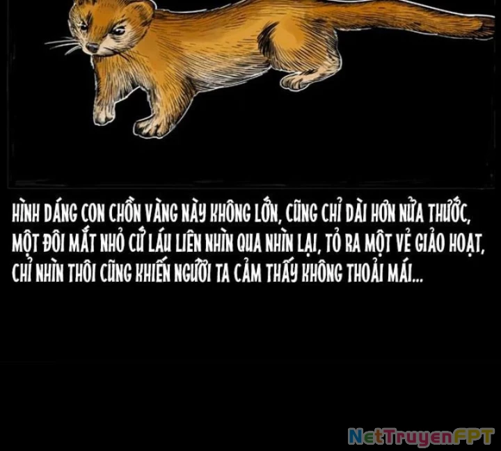 Tam Lão Gia Kinh Kỳ Thủ Trát Chapter 22 - 26