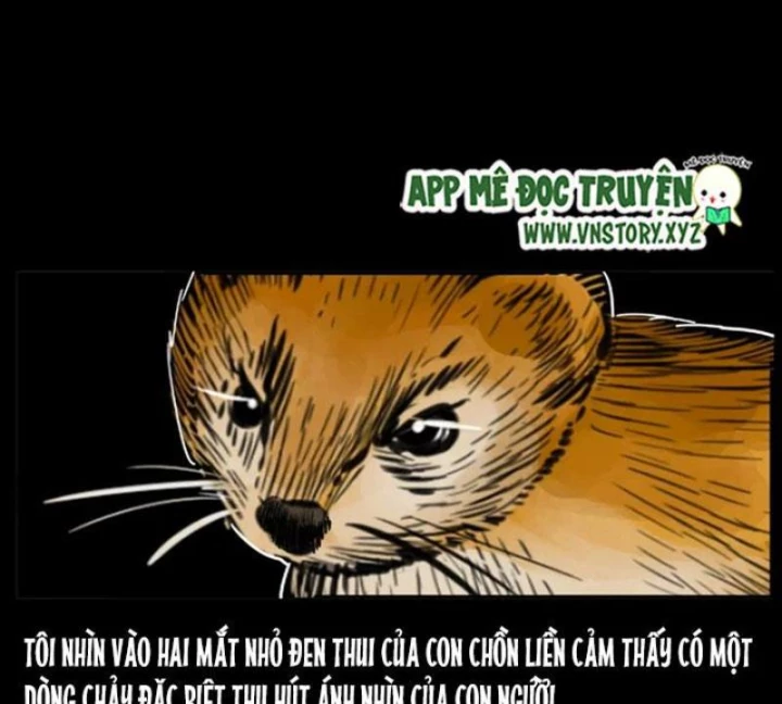 Tam Lão Gia Kinh Kỳ Thủ Trát Chapter 22 - 28