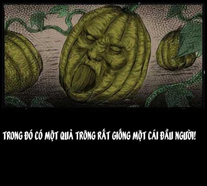 Tam Lão Gia Kinh Kỳ Thủ Trát Chapter 25 - 13