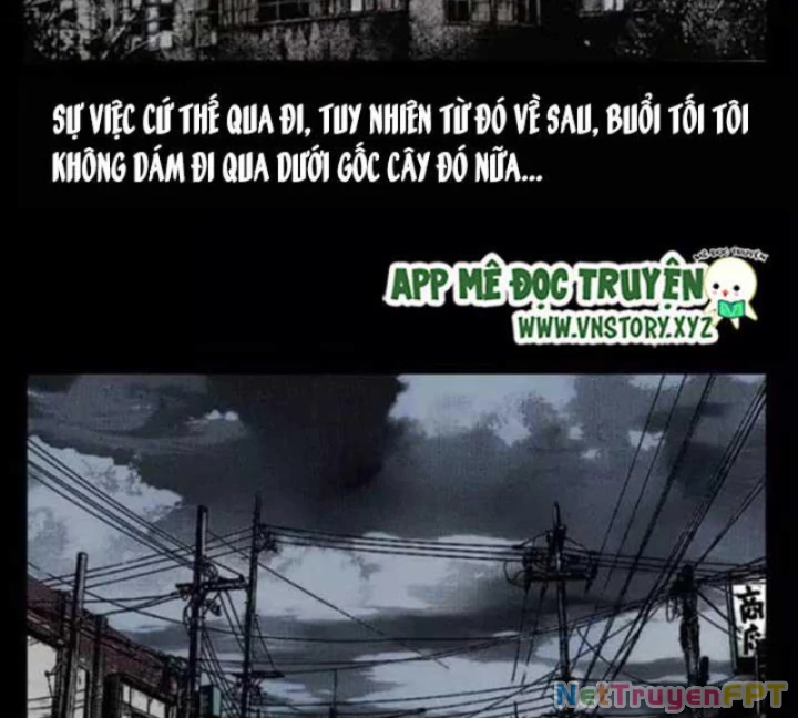 Tam Lão Gia Kinh Kỳ Thủ Trát Chapter 29 - 36