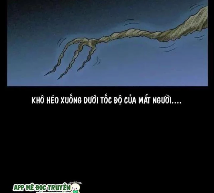 Tam Lão Gia Kinh Kỳ Thủ Trát Chapter 42 - 78