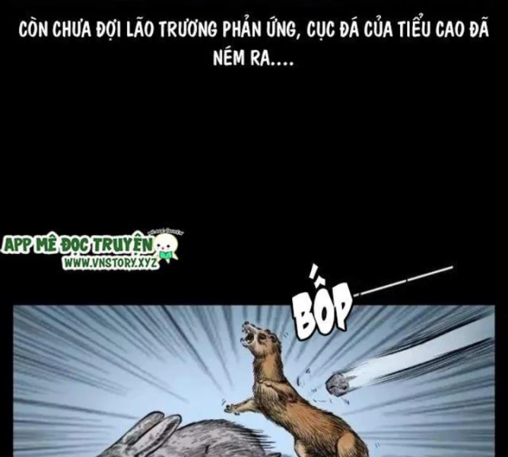 Tam Lão Gia Kinh Kỳ Thủ Trát Chapter 45 - 19