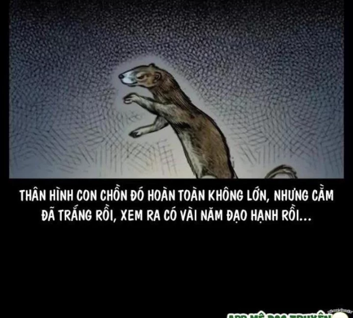 Tam Lão Gia Kinh Kỳ Thủ Trát Chapter 45 - 59
