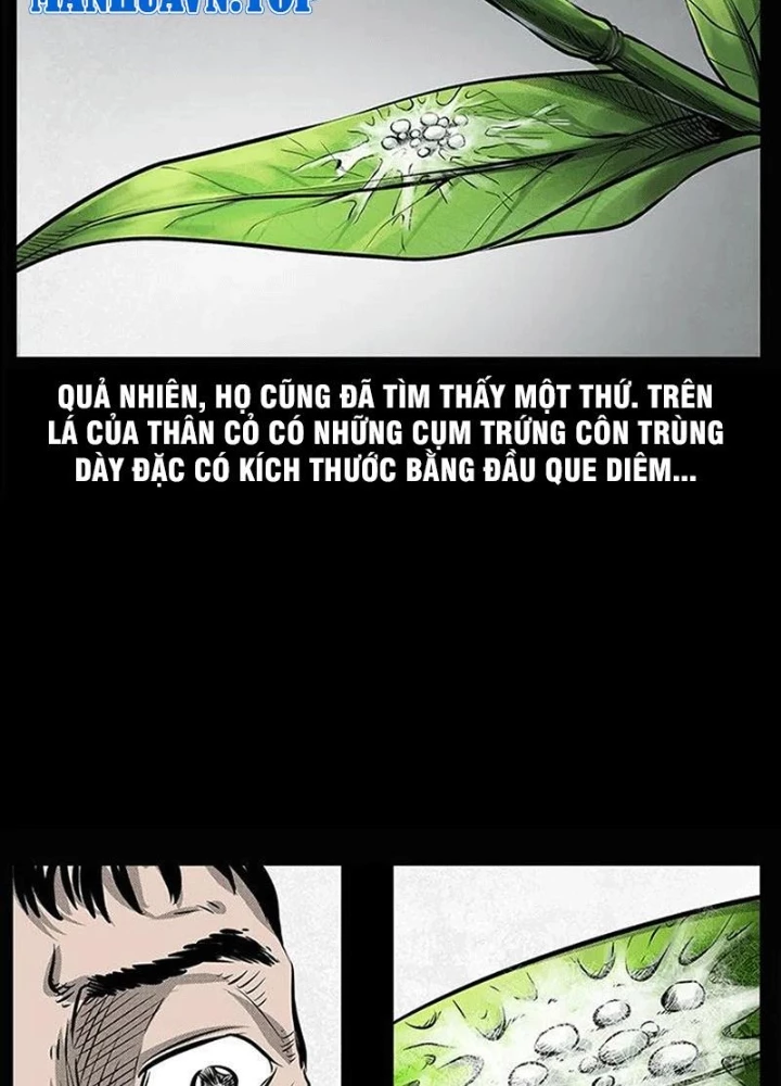 Tam Lão Gia Kinh Kỳ Thủ Trát Chapter 66 - 87