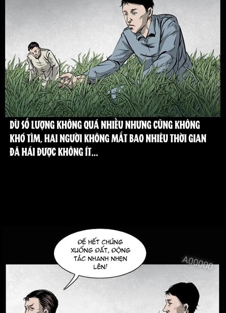 Tam Lão Gia Kinh Kỳ Thủ Trát Chapter 67 - 9