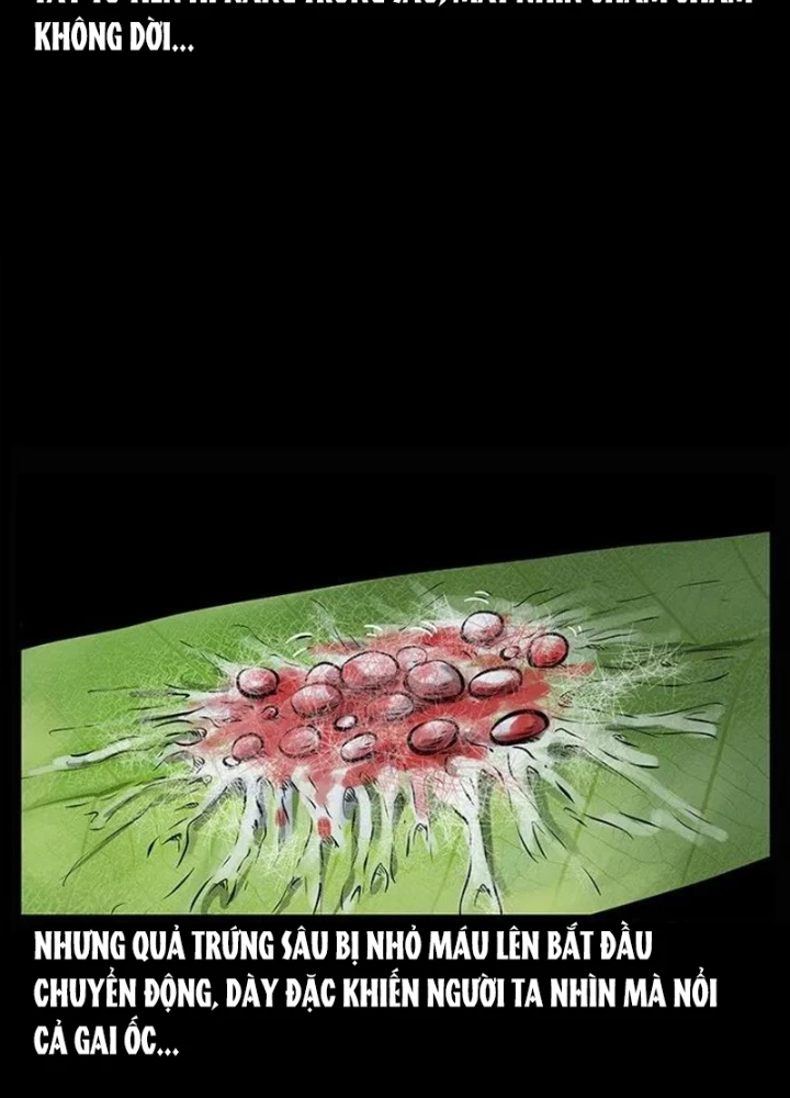 Tam Lão Gia Kinh Kỳ Thủ Trát Chapter 67 - 19