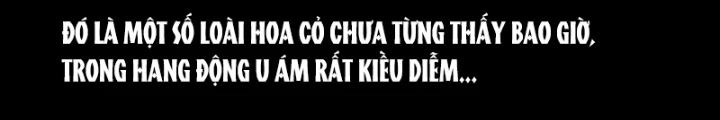Tam Lão Gia Kinh Kỳ Thủ Trát Chapter 71 - 92
