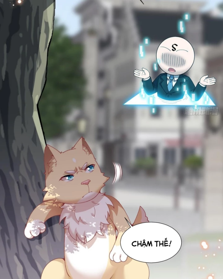 Kế Hoạch Nuôi Dưỡng Streamer Của Cẩu Hoàng Chapter 13 - Trang 2
