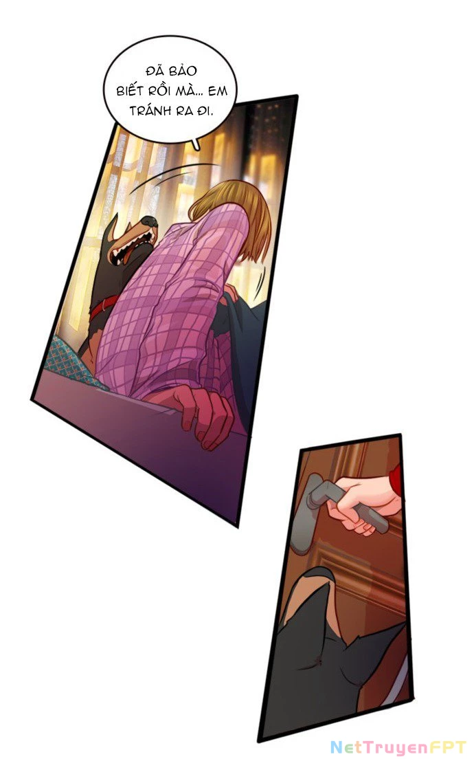 Chú Cún Của Em Thật Đáng Yêu Chapter 1.1 - Trang 2