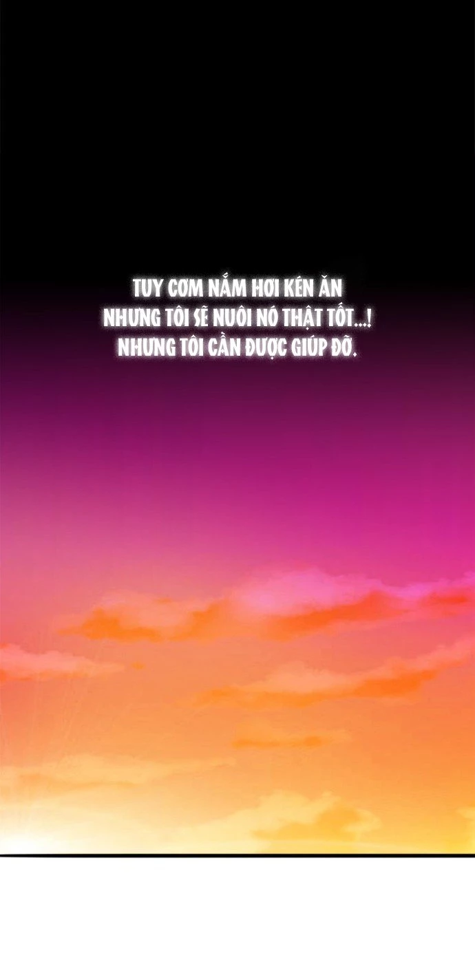 Chú Cún Của Em Thật Đáng Yêu Chapter 1.1 - Trang 2