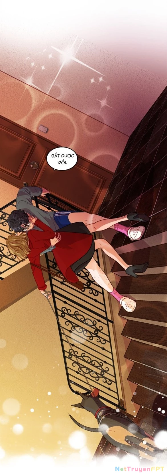 Chú Cún Của Em Thật Đáng Yêu Chapter 1.2 - Trang 2