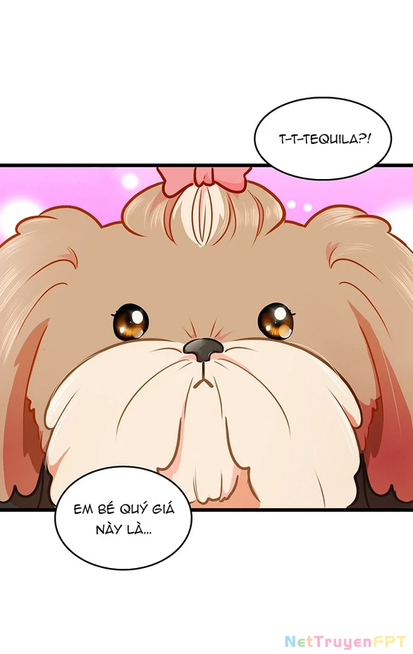 Chú Cún Của Em Thật Đáng Yêu Chapter 2.2 - Trang 2