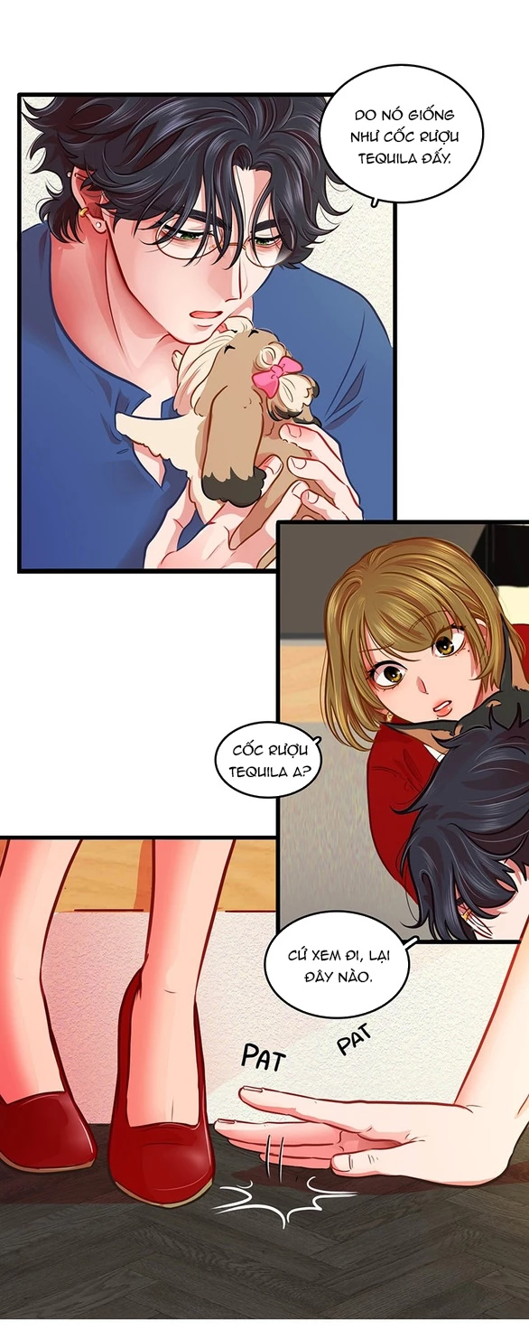 Chú Cún Của Em Thật Đáng Yêu Chapter 2.2 - Trang 2