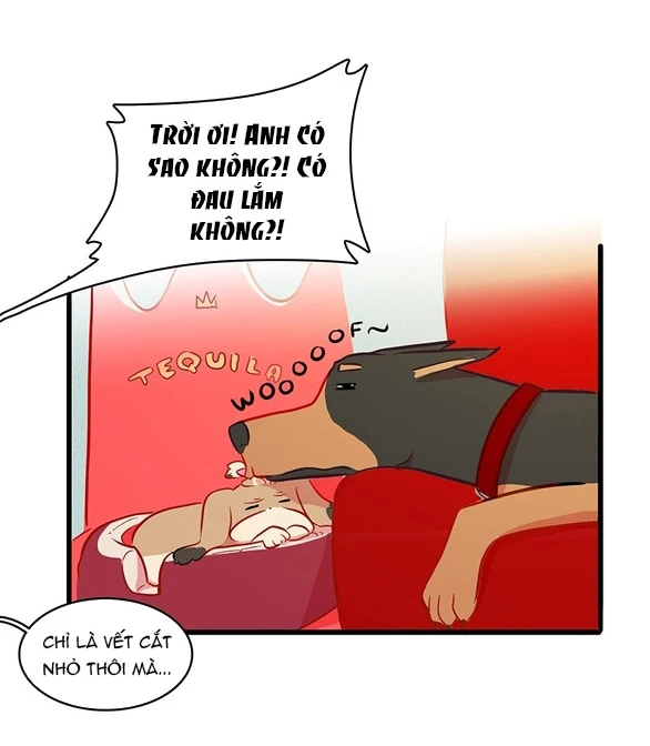 Chú Cún Của Em Thật Đáng Yêu Chapter 10.2 - Trang 2