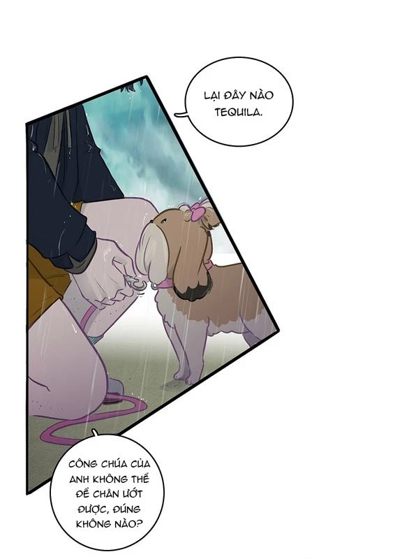 Chú Cún Của Em Thật Đáng Yêu Chapter 13.2 - Trang 2