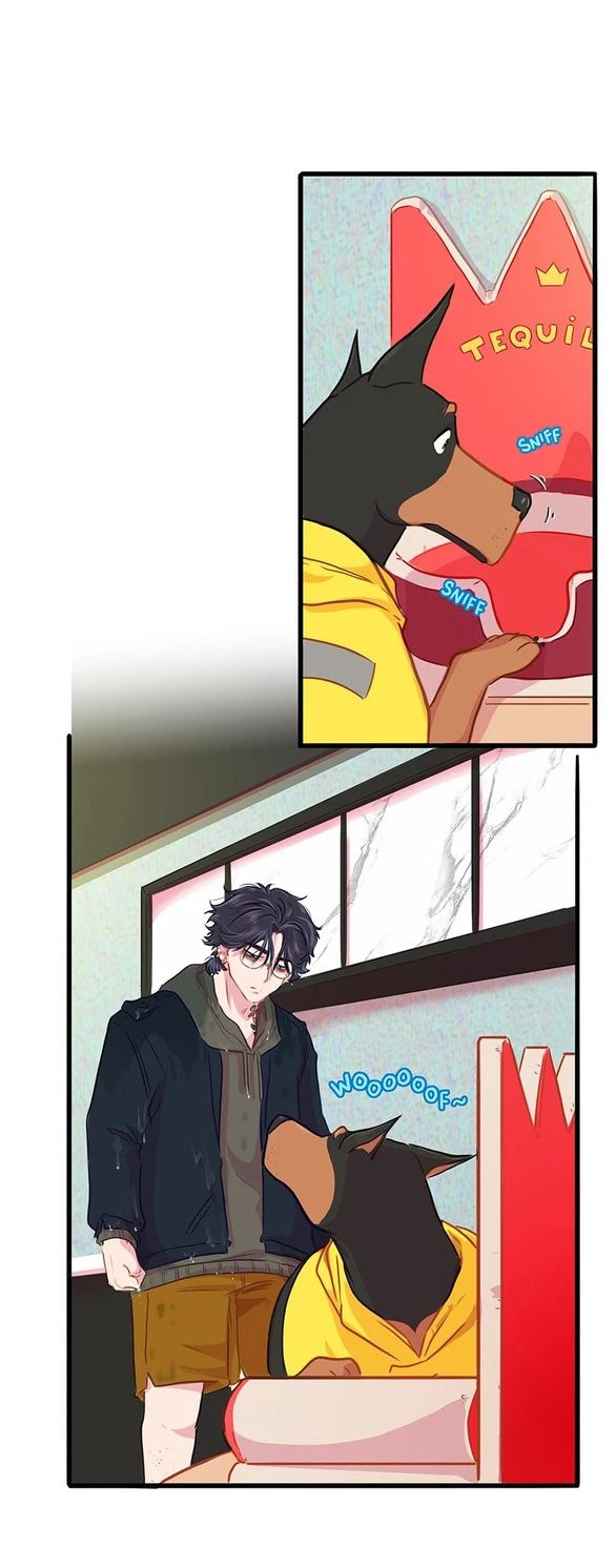 Chú Cún Của Em Thật Đáng Yêu Chapter 14.1 - Trang 2
