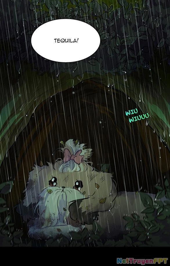 Chú Cún Của Em Thật Đáng Yêu Chapter 14.2 - Trang 2