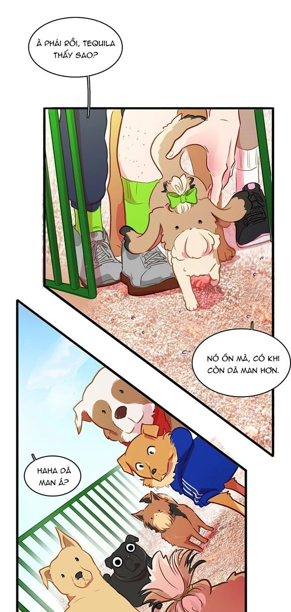 Chú Cún Của Em Thật Đáng Yêu Chapter 16.2 - Trang 2