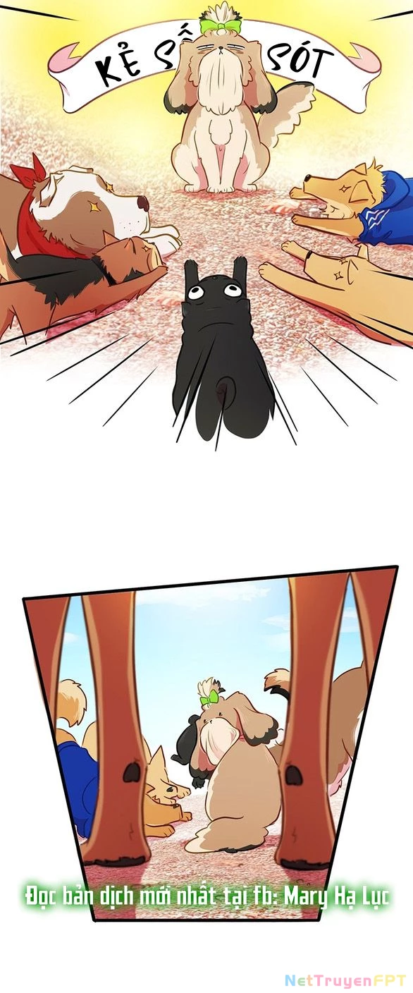 Chú Cún Của Em Thật Đáng Yêu Chapter 16.2 - Trang 2
