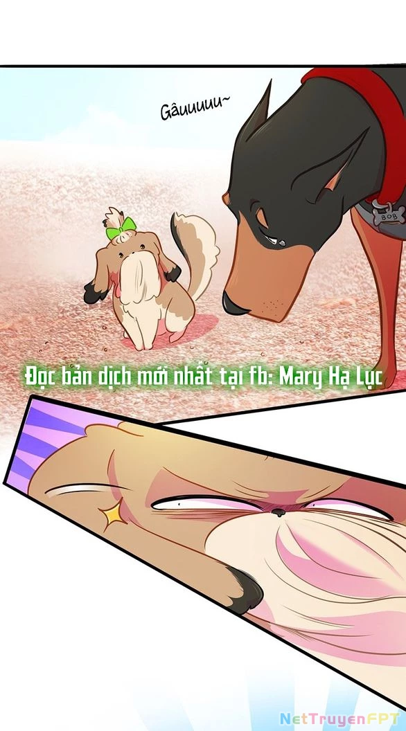 Chú Cún Của Em Thật Đáng Yêu Chapter 16.2 - Trang 2
