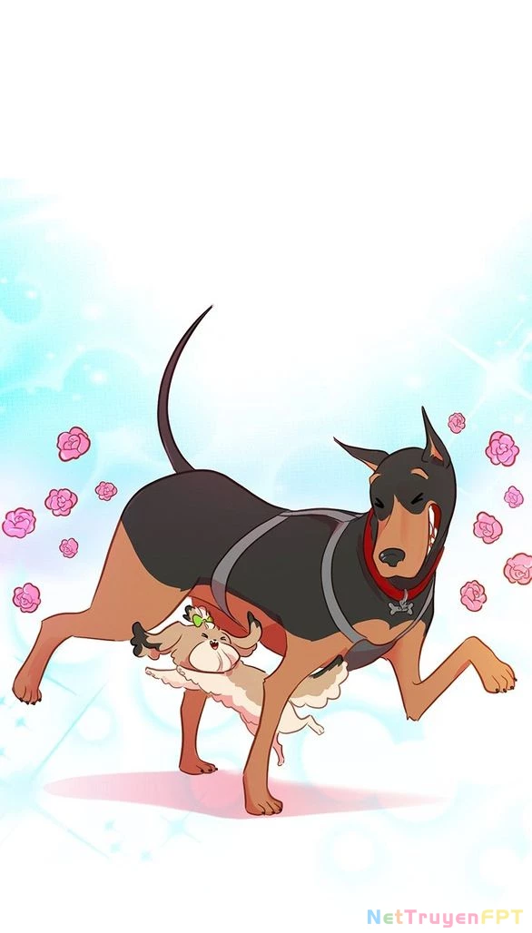 Chú Cún Của Em Thật Đáng Yêu Chapter 16.2 - Trang 2
